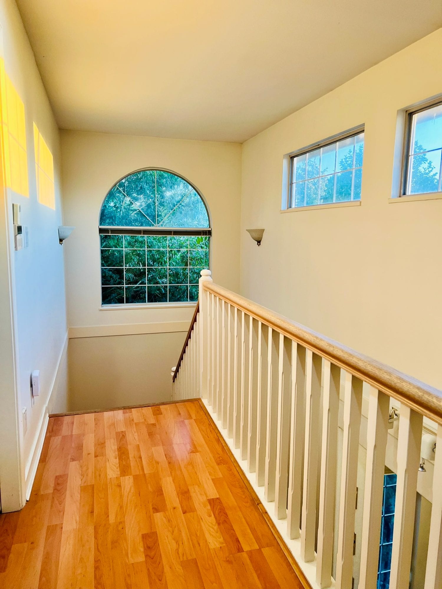 Oakridge β photo 9 of 12