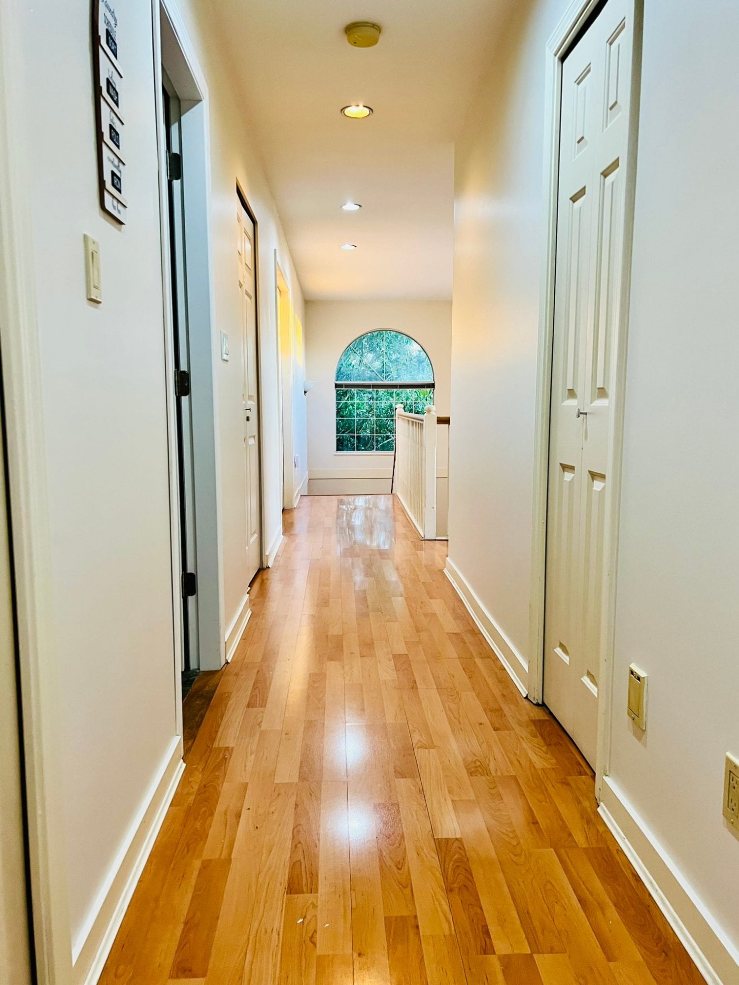 Oakridge β photo 12 of 12